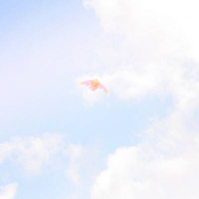 从算碳到减碳，从设备到系统：阳...